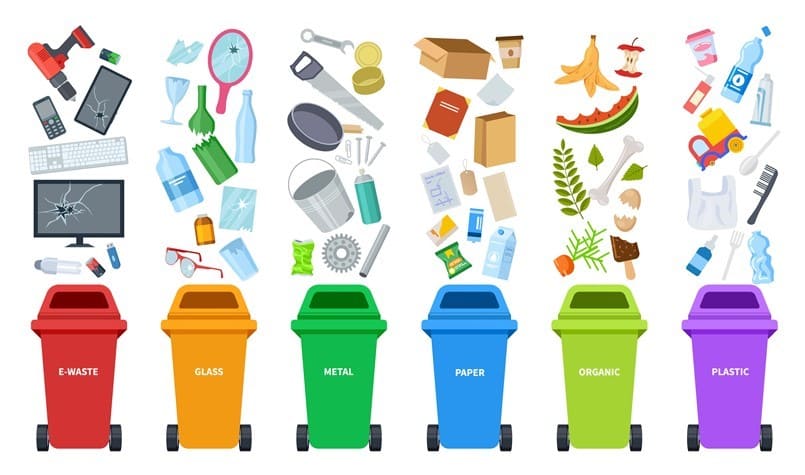 Qué se puede llevar a un ecoparque